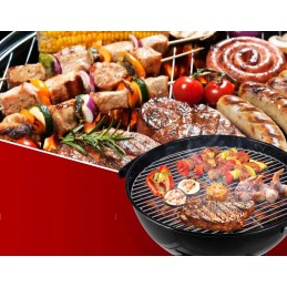 Sodo kepsninė su anglimis su dangteliu, apvali, uždara sferinė grilis su ratukais