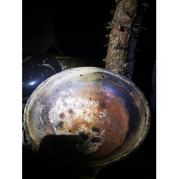 Sodo kepsninė su anglimis su dangteliu, apvali, uždara sferinė grilis su ratukais