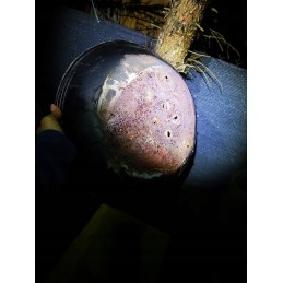 Sodo kepsninė su anglimis su dangteliu, apvali, uždara sferinė grilis su ratukais