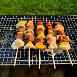 Turistinis grilis mini sulankstomas nešiojamas anglies lagaminas + kilimėliai