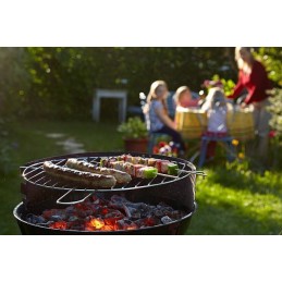 Turistinė sodo anglių kepsninė su nuimamomis grotelėmis