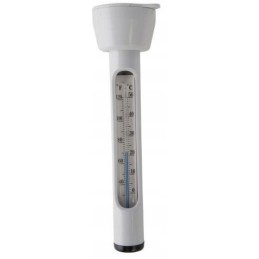 Plaukiojantis baseino termometras 29039 intex