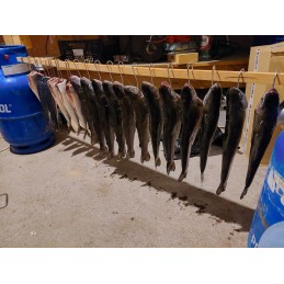 ⭐⭐hook kabliukas žuvies rūkymo kabliukai triple zut togo⭐⭐