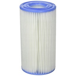 Intex 29000 A tipo filtras įdėtam siurbliui