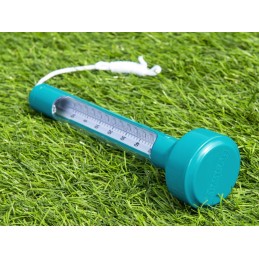Bestway plaukiojantis baseino termometras