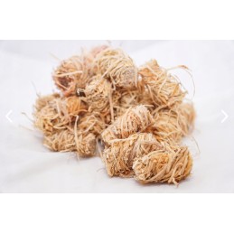 Originalus eko degiklis 500vnt 5kg