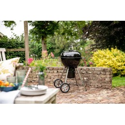 Napoleon NK18K anglis grilis - 46 cm