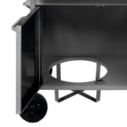 Dujinis grilis su spintele ir šoniniu degikliu kepimui - 99654