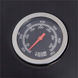 Dujinis grilis padės paruošti sveiką ir skanų patiekalą.