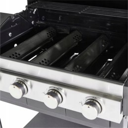 Dujinis grilis padės paruošti sveiką ir skanų patiekalą.