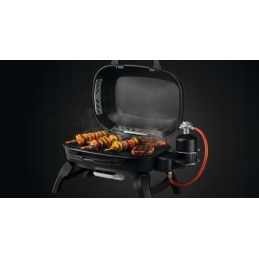 Napoleon Travelq™ 240 dujinės kepsninės