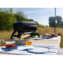 Napoleon Travelq™ 240 dujinės kepsninės