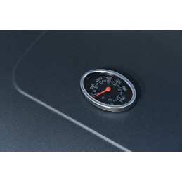 Grilis su anglimis su karališkomis ketaus grotelėmis