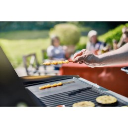 Grynas grilio malonumas!