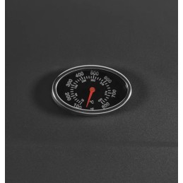 Kampinis grilis activa sodo anglis grilis, ketaus grotelės, dangtis