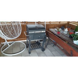 Kampinės anglies kepsninės, Activa sodo grilis, ketaus grotelės, dangtis