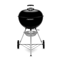 Originalus virdulys e-4710 anglis grilis 47 cm