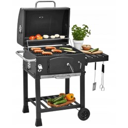 Activa Angular anglies grilis