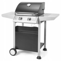 Fieldmann FZG3102 dujinis grilis