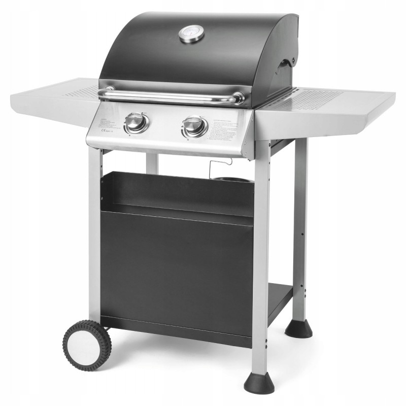 Fieldmann FZG3102 dujinis grilis