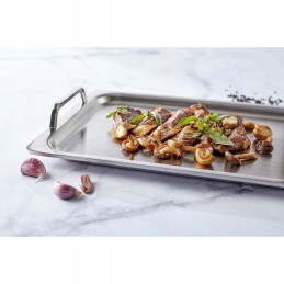 Demeyere specialities 5 terasplaat 39 x 27 cm