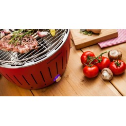 Lotoso grilis - xl - oranžinis