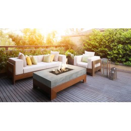 Lauko dujinis židinys 471 x 395 propano butanas