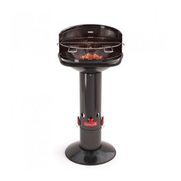 Loewy 50 kepsninė su anglimis