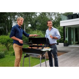 Black Taurus 660 cart anglies grilis