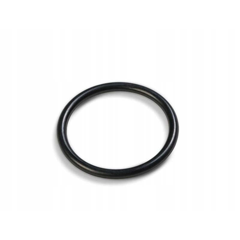 Inlet seal for pump motor sand 10712 intex