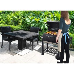 ⭐Sodo grilis su dangteliu, priedais ir pūstuvu⭐