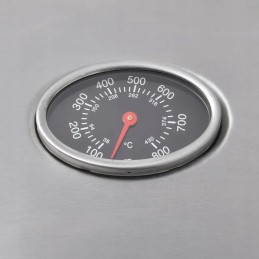 Vidaxl dujinis grilis su 4 kaitvietėmis 1, sidabrinė