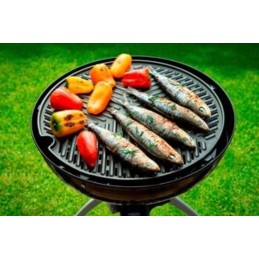Cadac bbq carri 50 dujinis grilis, klasikinis, sodas, terasa