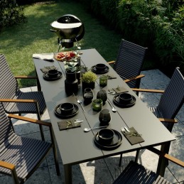 Grilis su anglimis, skersmuo 54,5 cm, Phoenix Beta II Naterial