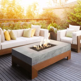 Dujinis židinys AQF1 39 5x39 5 11 5 kw propanas butanas