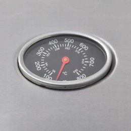 Vidaxl dujinis grilis su kaitinimo zona 4 1, juoda ir sidabrinė