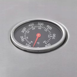 Vidaxl dujinis grilis su kaitinimo zona 4 1, juoda ir sidabrinė