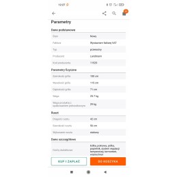 Pagrindinės komfortiškos anglies kepsninės