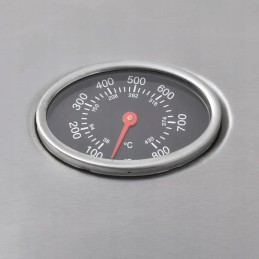 Vidaxl dujinis grilis su kaitinimo zona 4 1, juoda ir sidabrinė