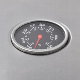 Vidaxl dujinis grilis su 4 kaitvietėmis 1, sidabrinė