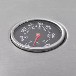 Vidaxl dujinis grilis su 4 kaitvietėmis 1, sidabrinė