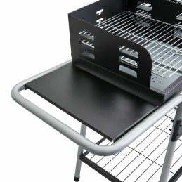 Grilis su anglimis 40x32 cm Icarus Alpha II Vežimėlis Natūralus