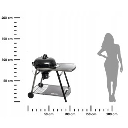 Grilis su anglimis su vežimėliu ir dulkių stalu