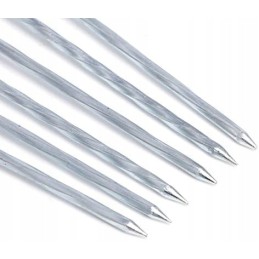 Šampūnas iešmams kepti 30 cm