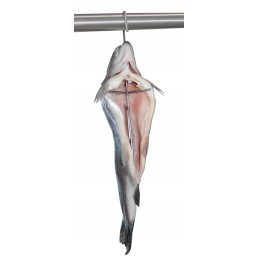 Nerūdijančio plieno žuvies rūkyklos kabliukas, storis 4mm, 1 vnt