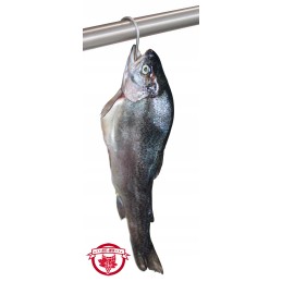 Nerūdijančio plieno žuvies rūkyklos kabliukas, storis 4mm, 1 vnt