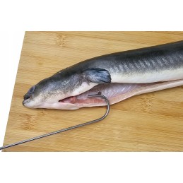 H 329 ungurių rūkymo kabliukas, ilgis 32 cm, rūkymo kabliukas, 4 peiliukai, lenkiškas kabliukas