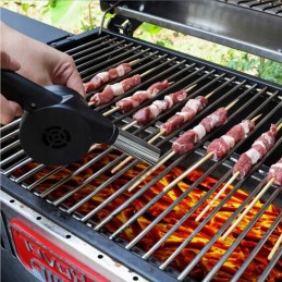 Blower for lighting a grill, fire, fireplace, bbq