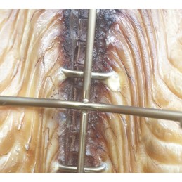 H 327 d kabliukai žuvies rūkymo kabliukas, didelis nerūdijančio plieno varpas