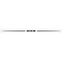 Skewer sticks 200 2 5 mm 200 pcs godan